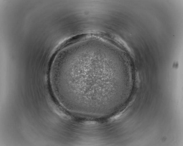 X0000091690203200709061132