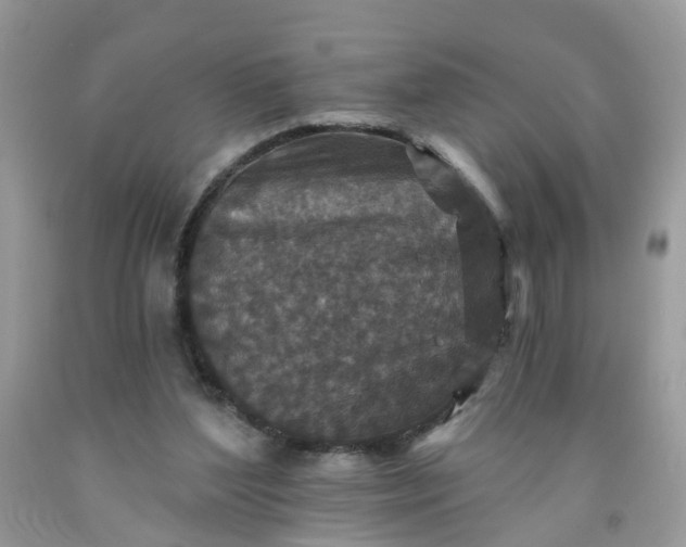 X0000091690204200709061132