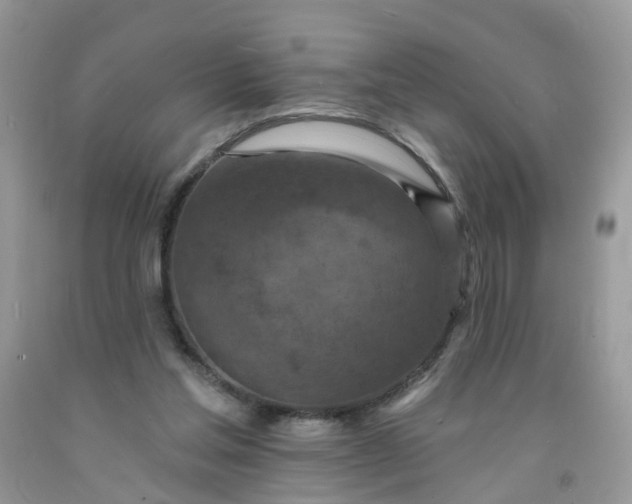 X0000091690205200709061132