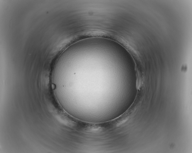 X0000091690206200709061132