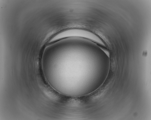 X0000091690207200709061132