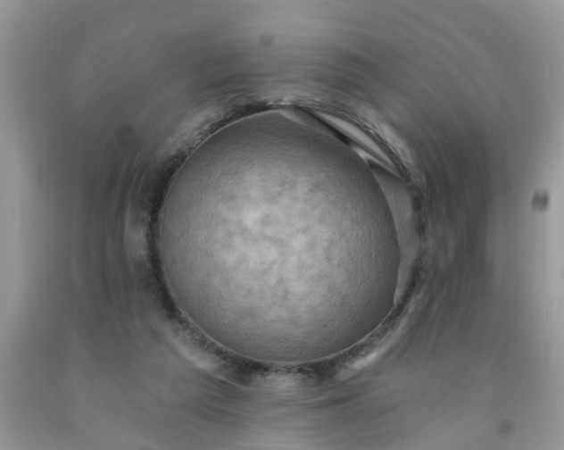 X0000091690209200709061132