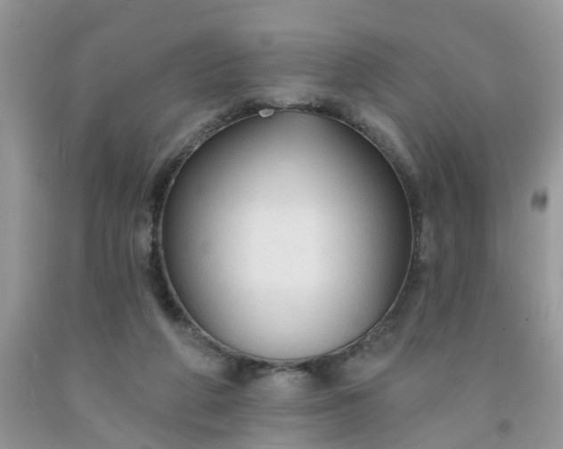 X0000091690210200709061132