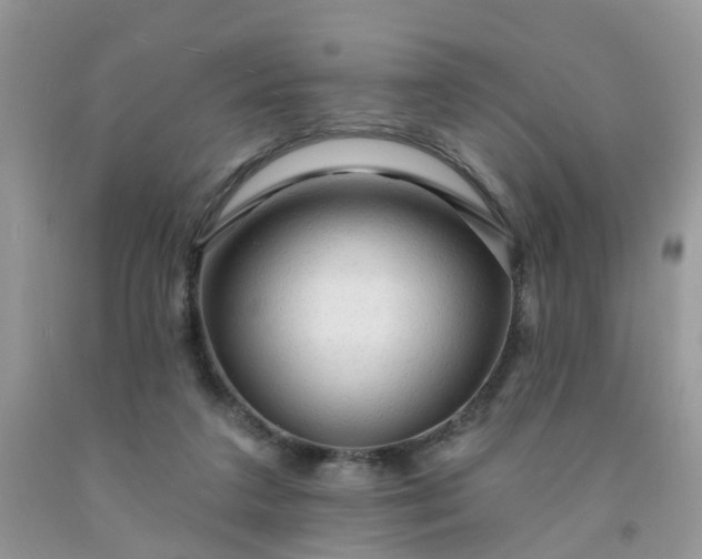 X0000091690211200709061132