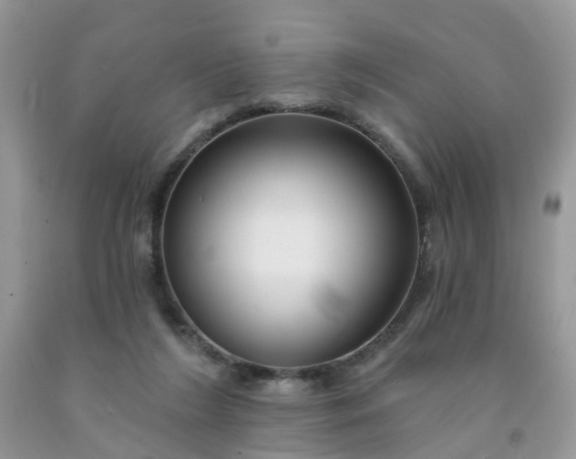 X0000091690212200709061132