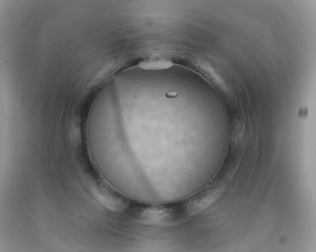 X0000091690213200709061132