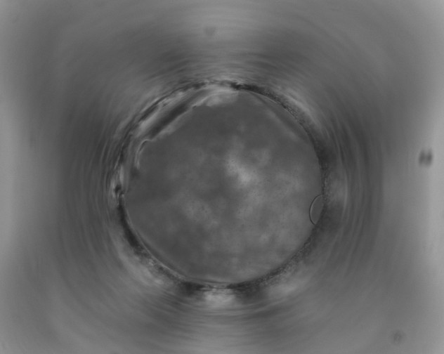 X0000091690214200709061132