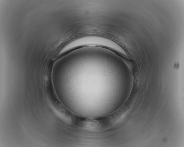 X0000091690215200709061132