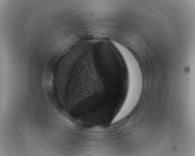 X0000091690219200709061131