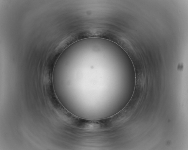 X0000091690220200709061131