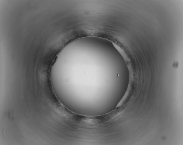 X0000091690221200709061131