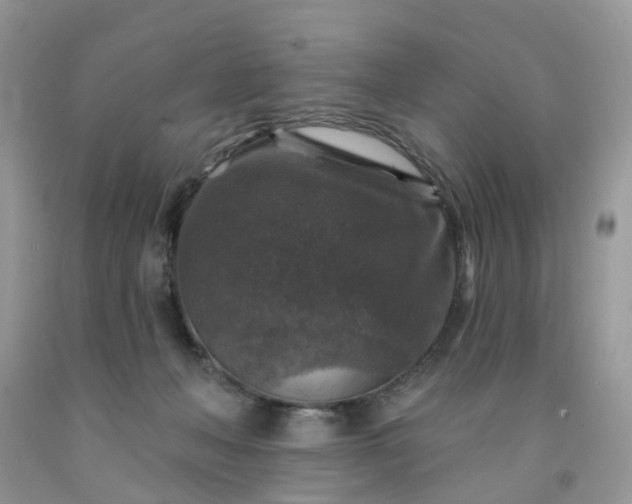 X0000091690222200709061131