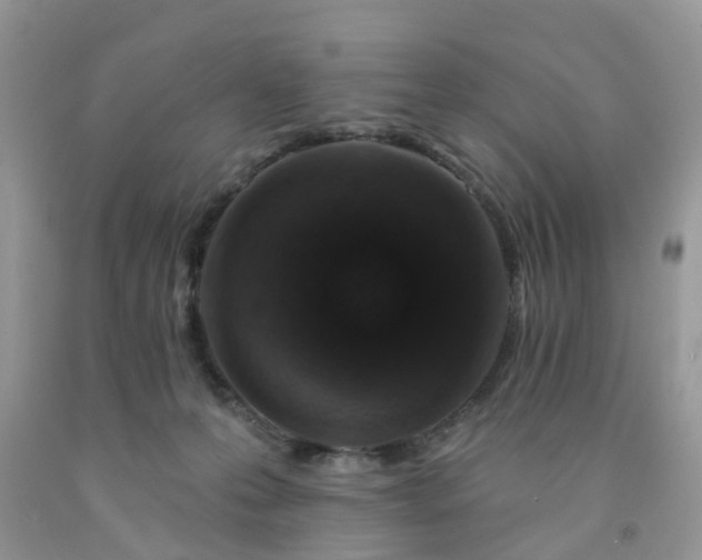 X0000091690223200709061131