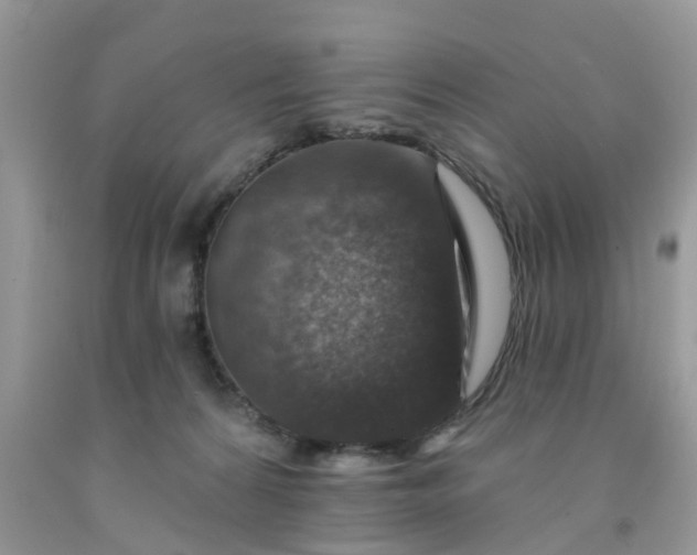 X0000091690224200709061131