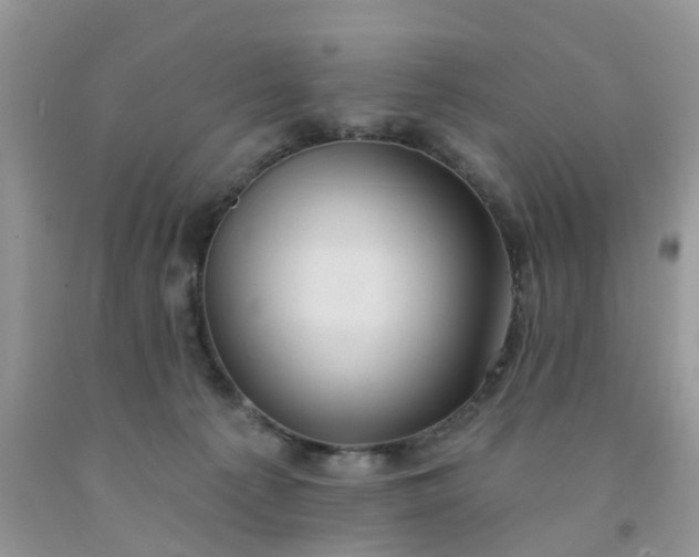 X0000091690225200709061131