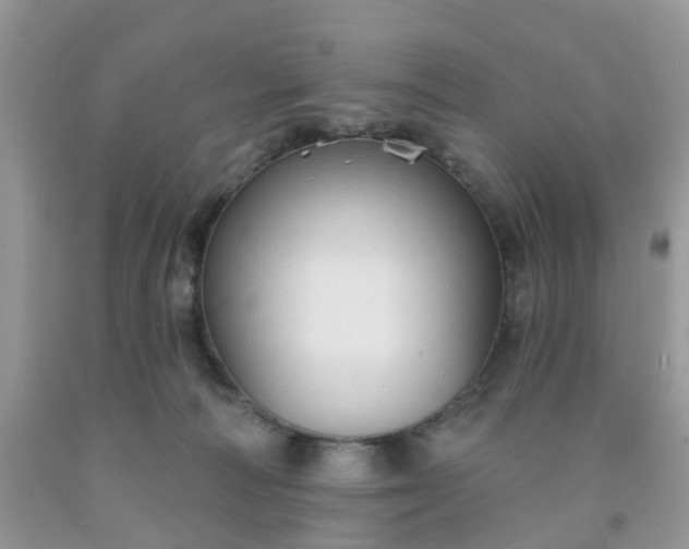 X0000091690226200709061131