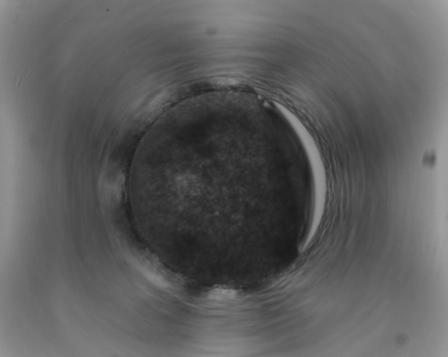 X0000091690227200709061131