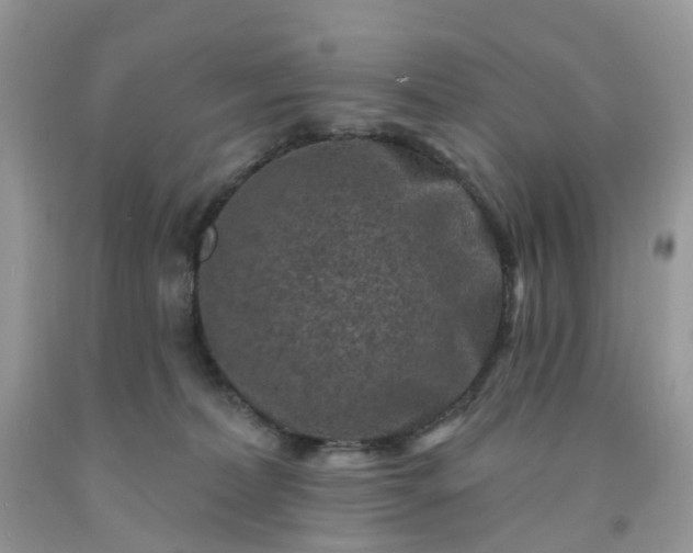 X0000091690228200709061131