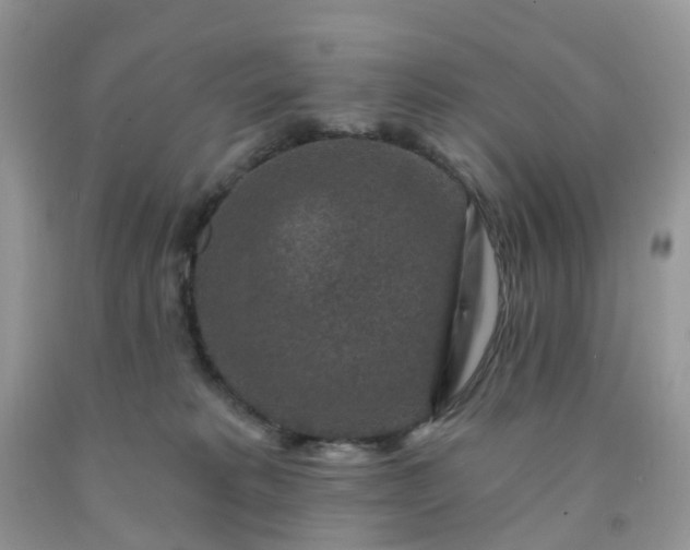 X0000091690229200709061131