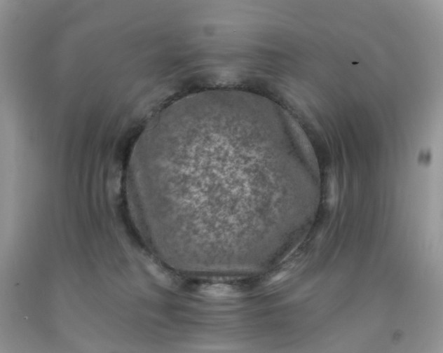 X0000091690230200709061131