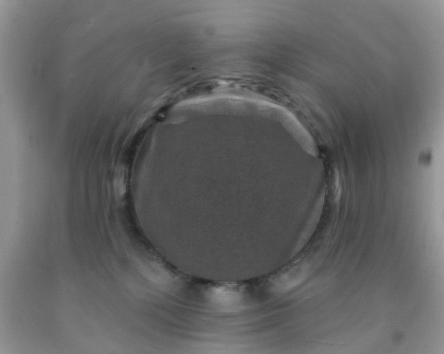 X0000091690232200709061131