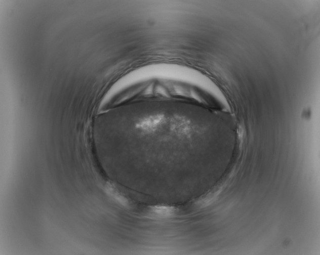 X0000091690233200709061131