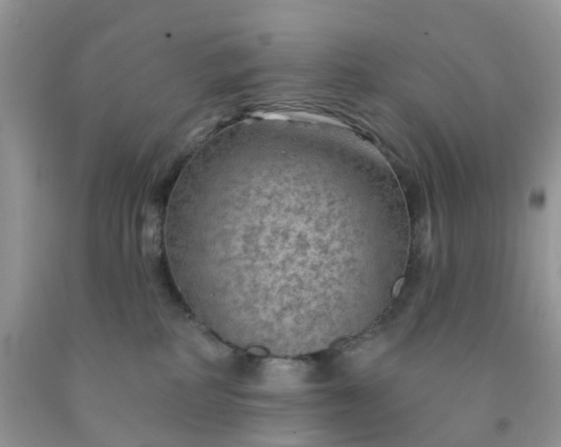 X0000091690234200709061131