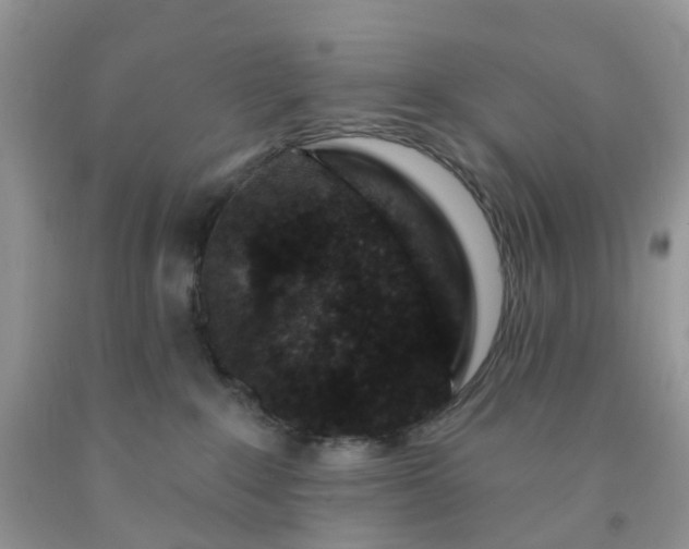 X0000091690235200709061131