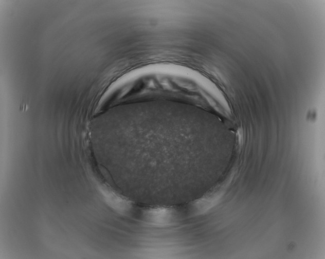 X0000091690237200709061131