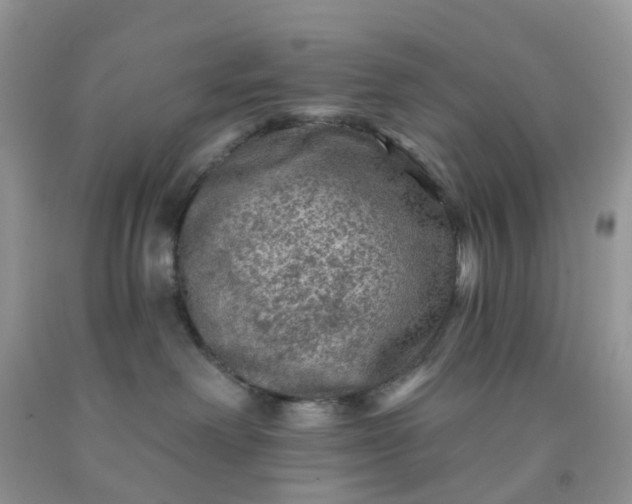 X0000091690238200709061131