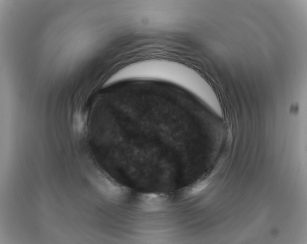 X0000091690239200709061131