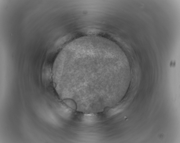 X0000091690240200709061131