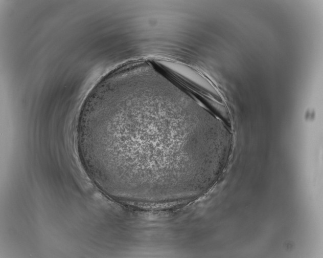 X0000091690241200709061131