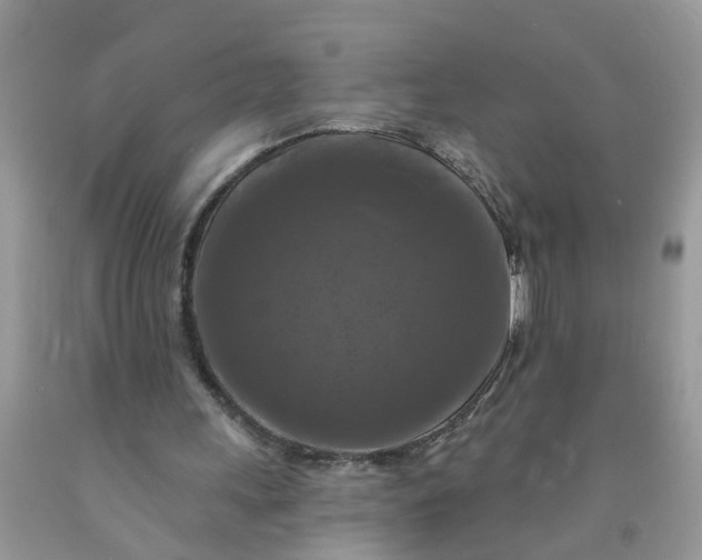 X0000091690243200709061131