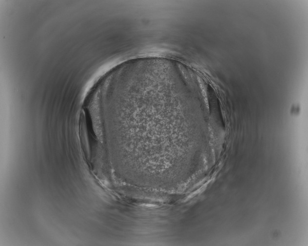 X0000091690244200709061131