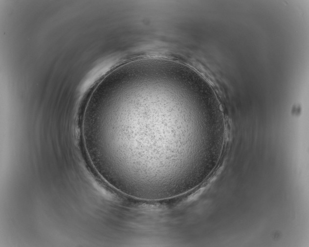 X0000091690245200709061131