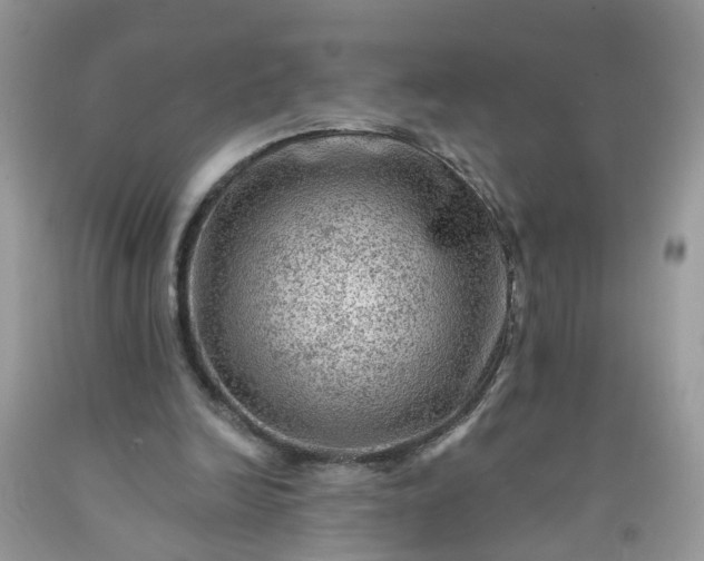 X0000091690246200709061131