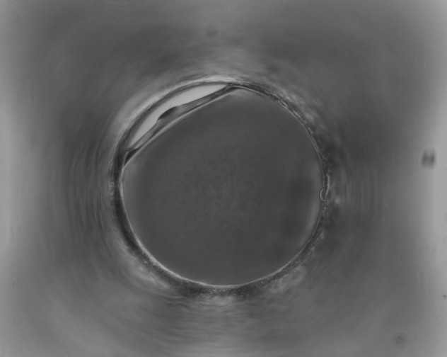 X0000091690247200709061131