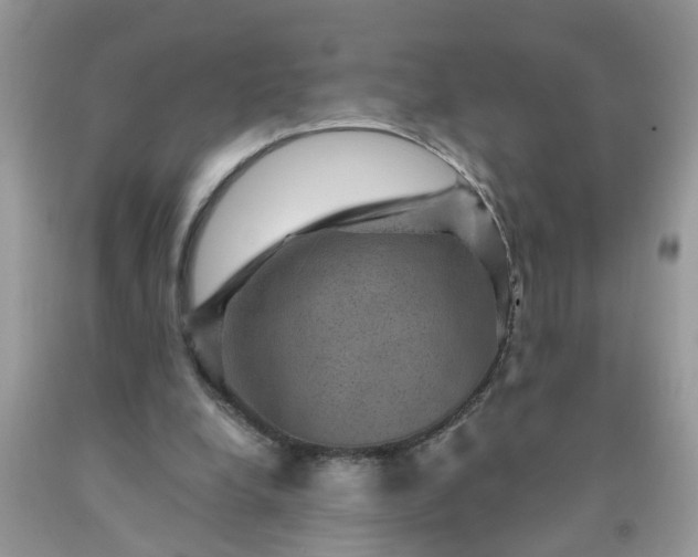 X0000091690248200709061131