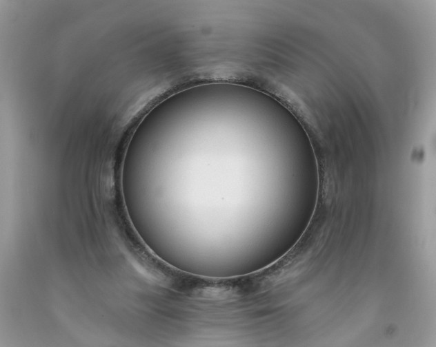 X0000091690251200709061131