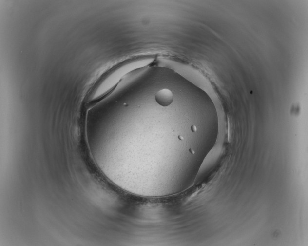 X0000091690252200709061131