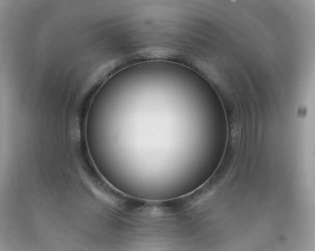 X0000091690254200709061131