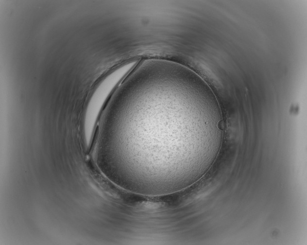 X0000091690255200709061131