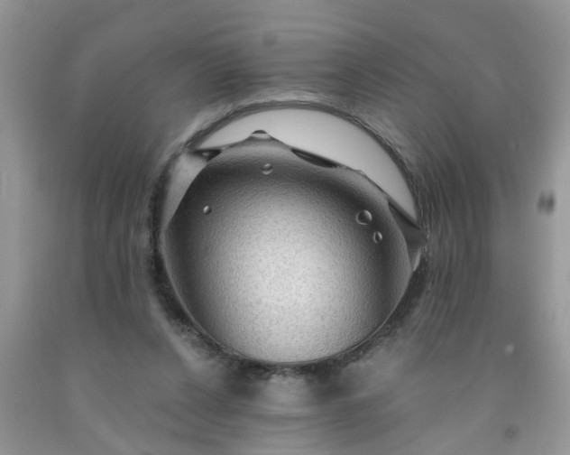 X0000091690256200709061131