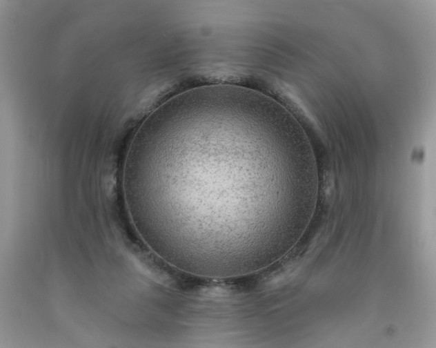 X0000091690259200709061131