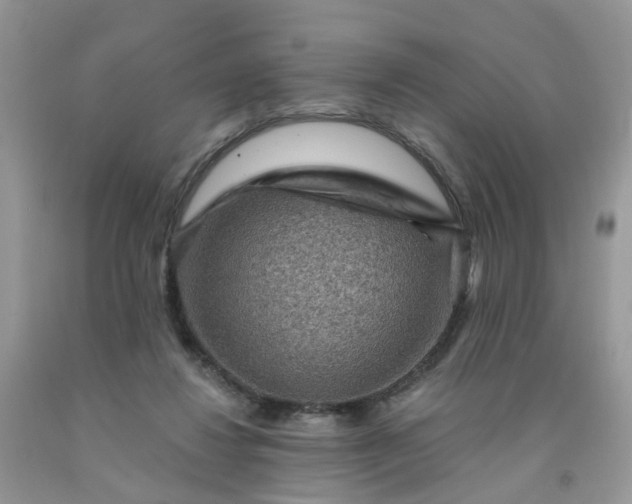 X0000091690260200709061131