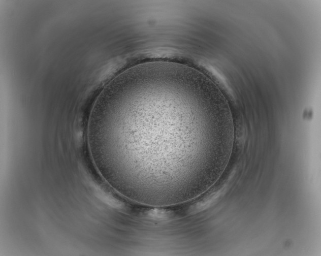 X0000091690261200709061131