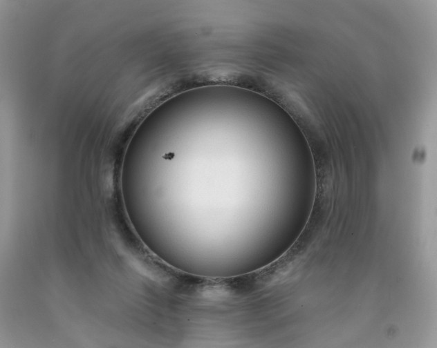 X0000091690262200709061131