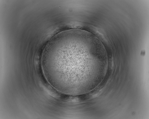 X0000091690263200709061131