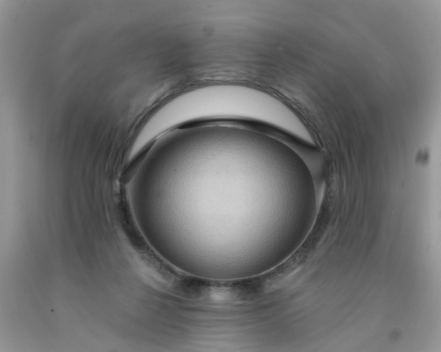 X0000091690264200709061131